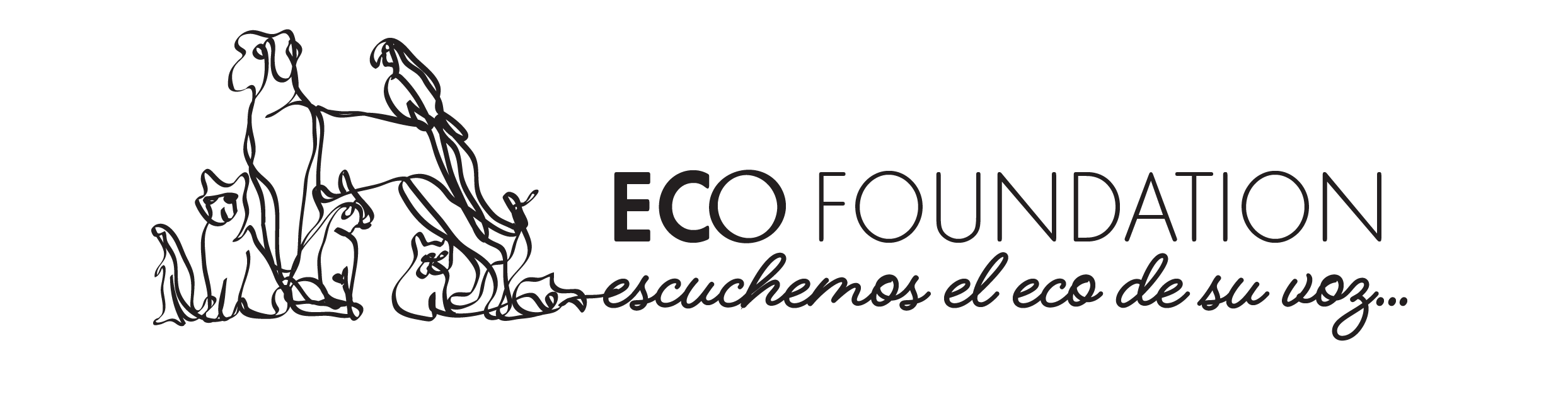 ECO FOUNDATION